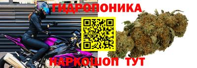 ГАЛЛЮЦИНОГЕННЫЕ ГРИБЫ Свободный