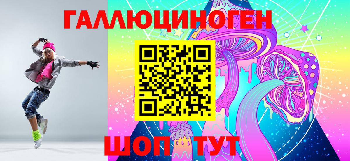 Псилоцибиновые грибы Psilocybine cubensis Обь